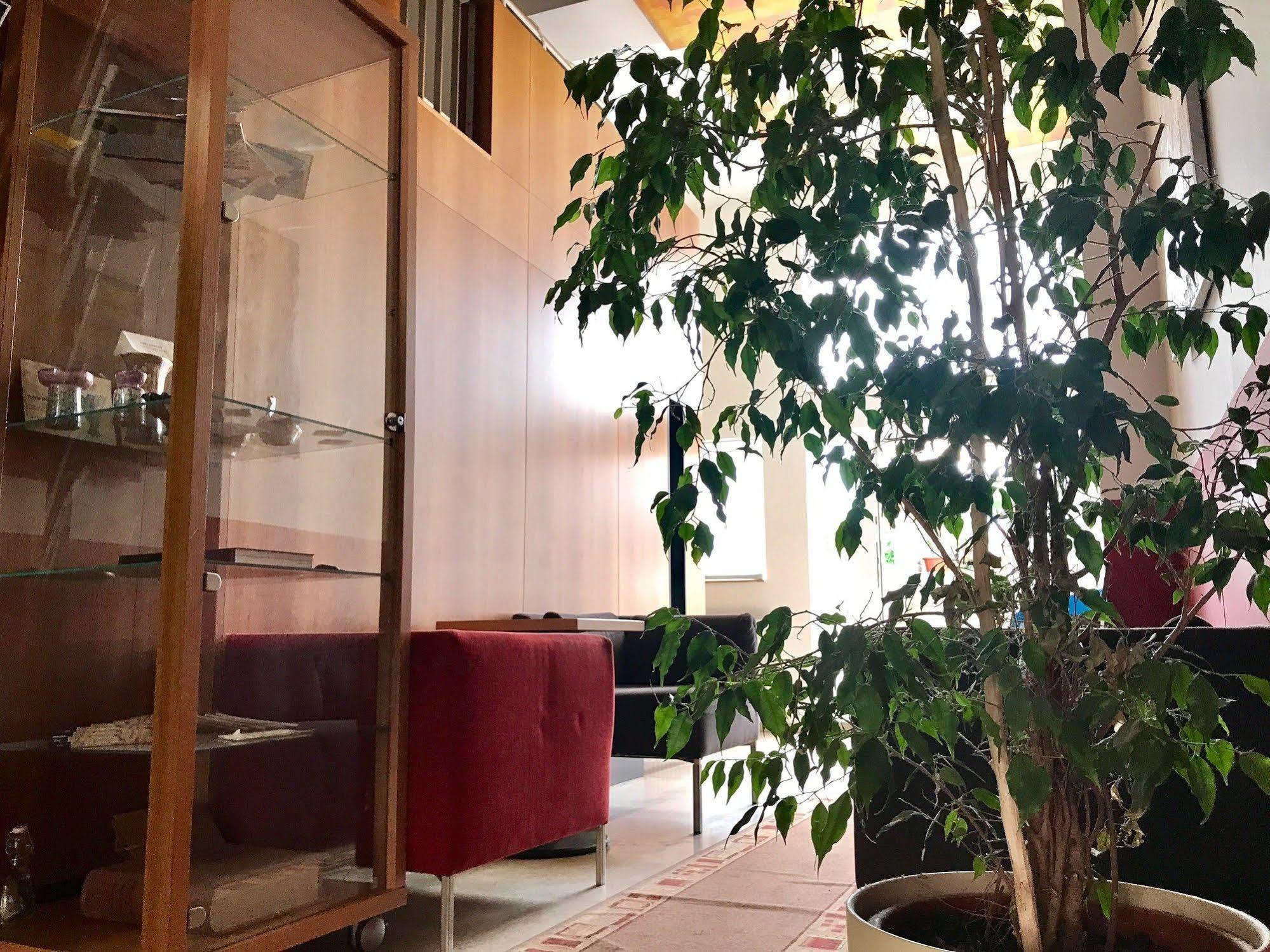 Hotel Maxim Svätý Jur Dış mekan fotoğraf